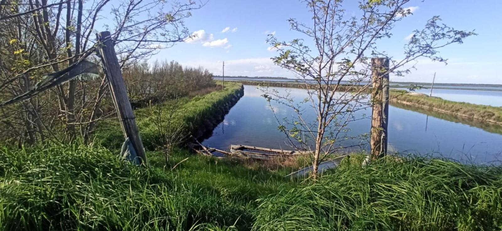 Casa Vacanze Nel Delta Del Po Taglio di Po Exterior foto