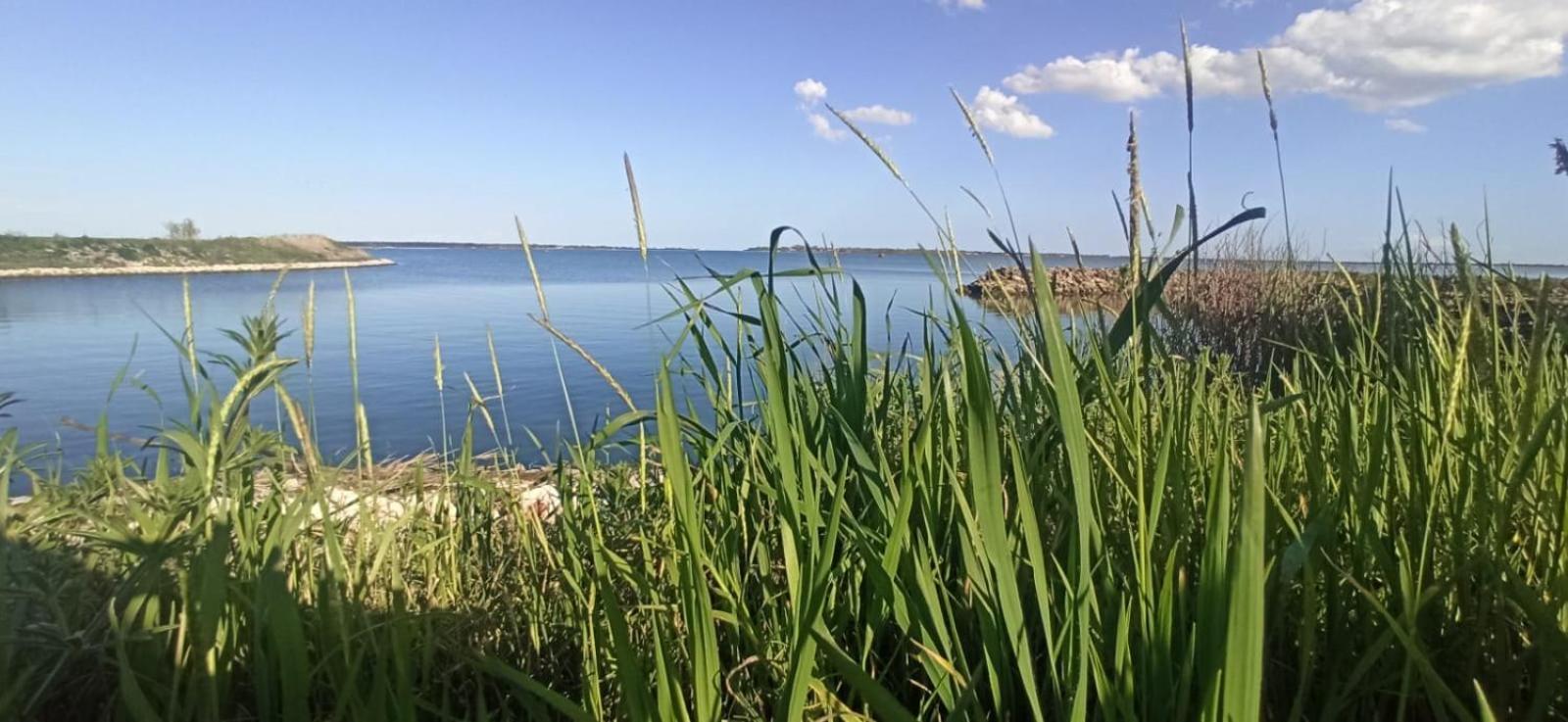Casa Vacanze Nel Delta Del Po Taglio di Po Exterior foto